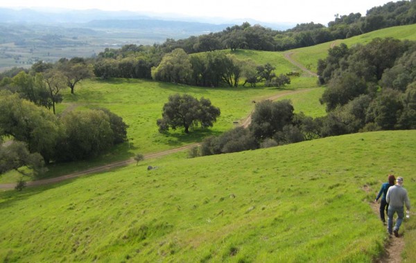 Sonoma Ranch