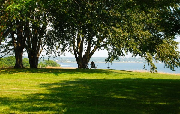 Rhode Island Farm